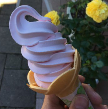 7505A8EA-52FB-47AA-B4DF-9FD23F667ADA.jpeg