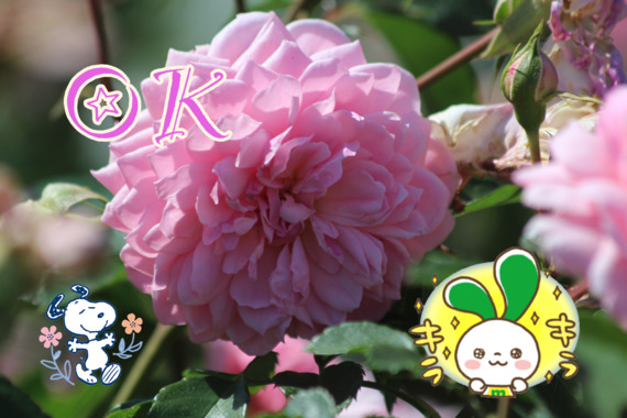 FD74F653-E944-427F-8083-FF04038335E0.png