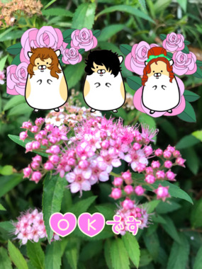 16635E36-8D86-4264-B04F-DD1F564404A6.png