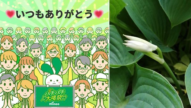 ありがとう.jpg