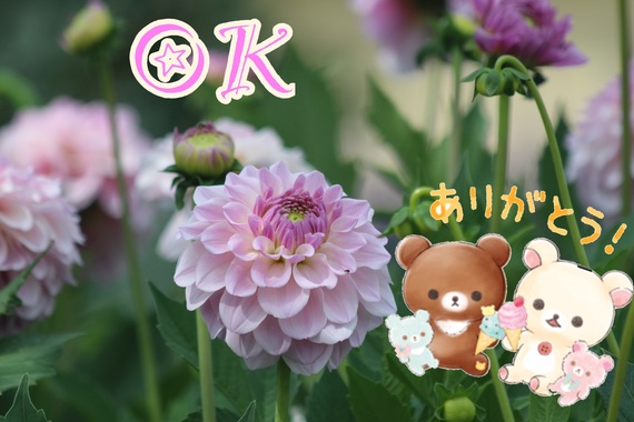 888BFE41-FD56-4A7F-A062-AD90EE8BC8E7.jpeg