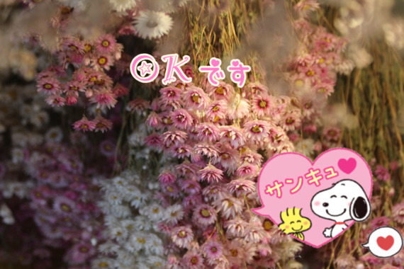 DC2AD310-CD35-4E77-860D-26AC57D3DA0C.png