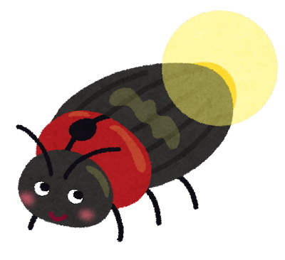 bug_hotaru.jpg
