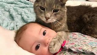 赤ちゃんとネコ.jpg