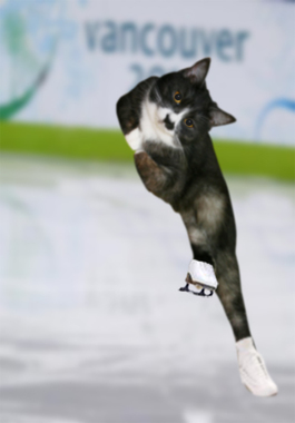 jiji_skate100225.jpg