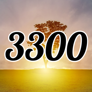 3300-meaning.jpg