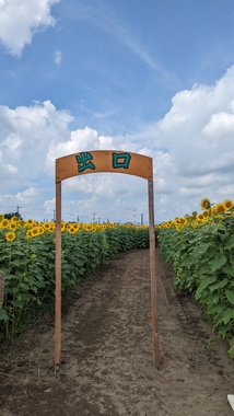 PXL_20220811_011946491.jpg