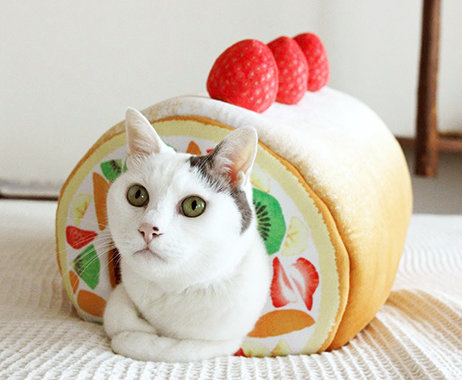 誕生日ケーキ_ねこ.jpg