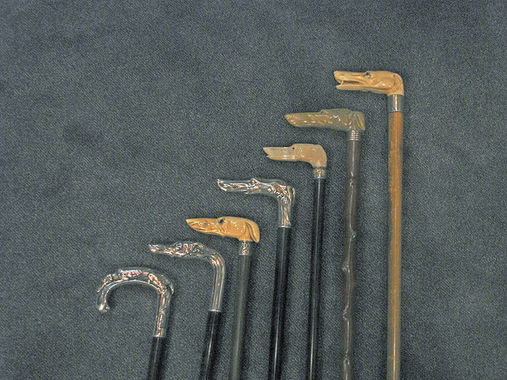 640px-Canes_with_greyhound_heads__Paris.jpg