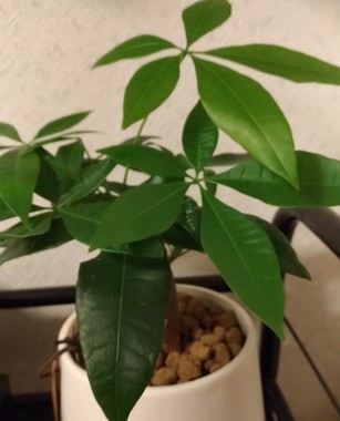 P_20220914_190741_vHDR_Auto_2.jpg