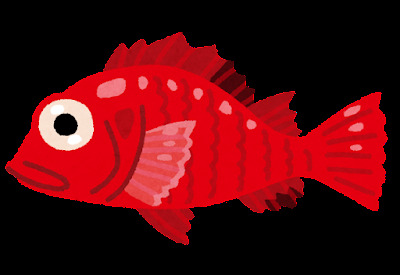 fish_kinki.png