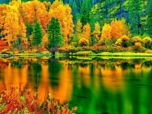 Autumn_Nature_Photography_HD_Wallpaper_06_1200x900.jpg