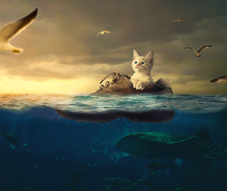 Photoshop_Tutorial_Surreal_Underwater_Cat_fin.jpg