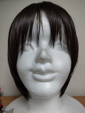 ウィッグ.jpg