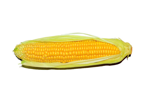 Maize_-_Corn.jpg