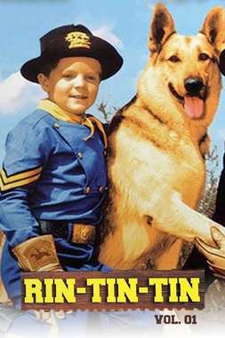 RIN-TIN-TIN.jpg