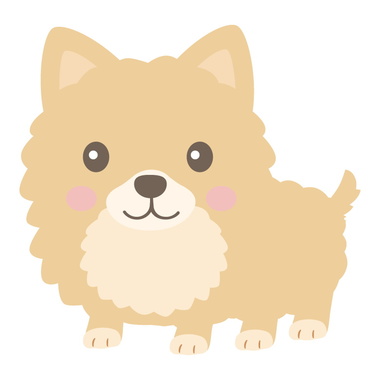 dog_pomeranian_9345.jpg