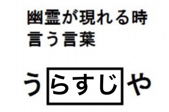 24C76968-82DE-4495-87B4-C34FFE48F59B.jpeg