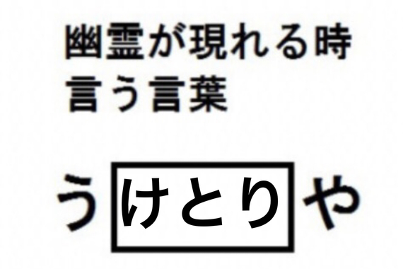 FD116B11-CF93-4625-A93E-138F2F6DD9BB.jpeg