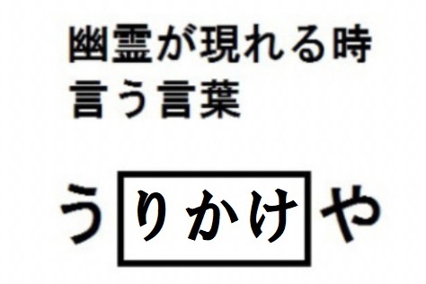 fullsize_image.jpg