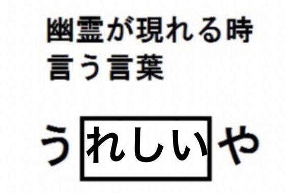 C98CEDB1-0B3F-430F-BBAE-354C00B80978.jpeg