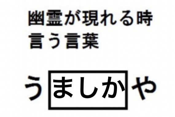 5669430A-862E-4743-9FB4-0E40C94A011C.jpeg