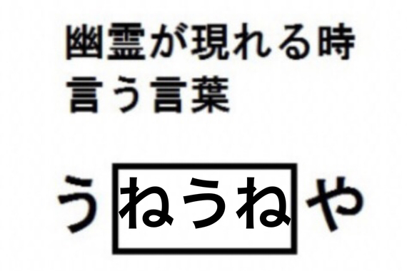 3CED2E22-4F59-4D0B-A945-9F0A59770C9E.jpeg