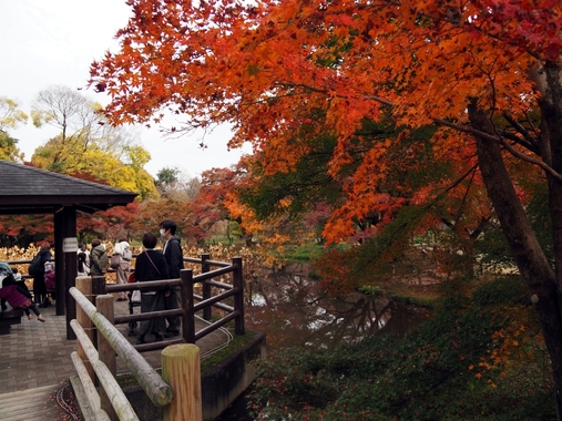 1119植物園-05.JPG