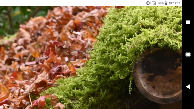 Screenshot_20221120-105134.png