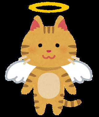 pet_angel_cat.png