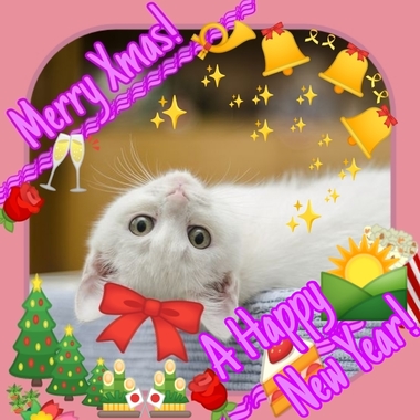 Merry_Xmas___Happy_New_Year.jpg