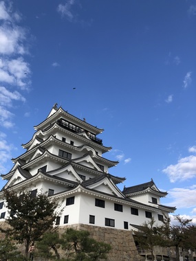 8B0688A0-4B17-45C1-8F9B-B66ADBBB3151.jpeg