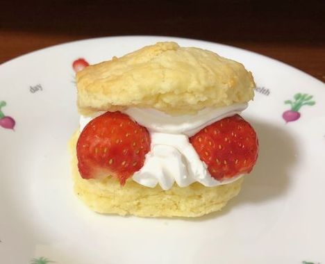 IMG_2694_scone_mini.jpg
