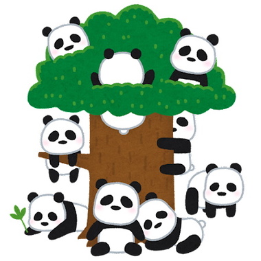 animal_panda_kichi.jpg