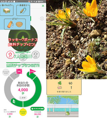 旅かえる20230221.jpg