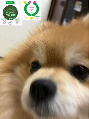 B2AB541F-DF80-43A9-BE62-64A25A0BFA0F.jpeg