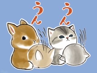 A6842FBD-8B3E-4F44-BFDD-CB9C166C41ED.jpeg