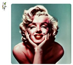 マリリン.jpg