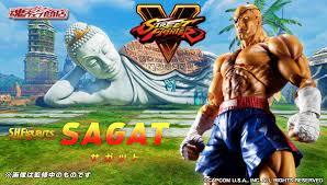 bnr_shf_sagat_600x341.jpg