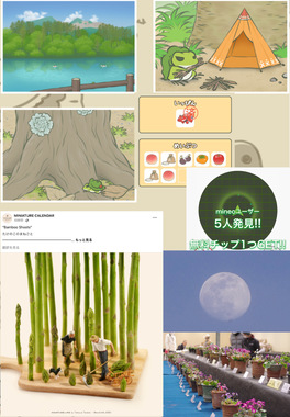 EE7B5FFE-33DE-41B7-A4AB-C5BDE33725E3.jpeg