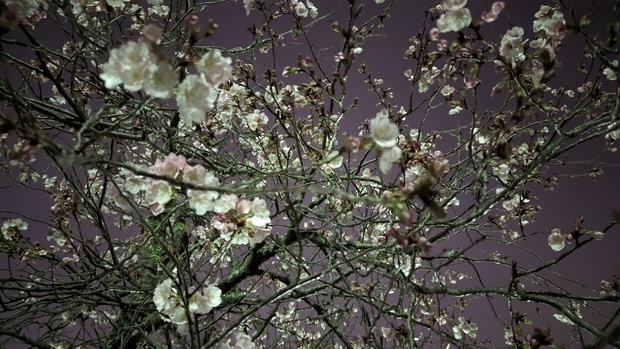 PXL_20230323_124808284.jpg