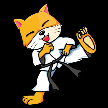 karate-4575114_1920.png
