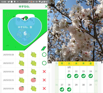ゆずるね_20230328_130016.jpg