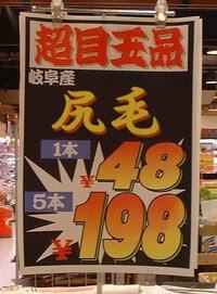 106A1CEB-BCE6-4F76-8A96-AA5E84431A3D.jpeg