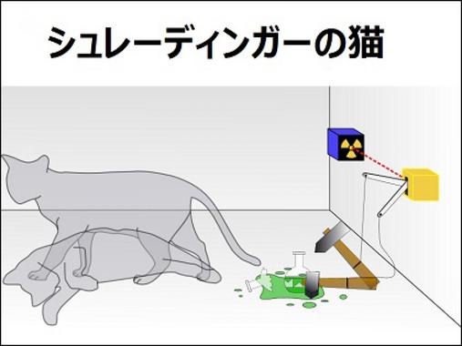 シュレーディンガーの猫.jpg