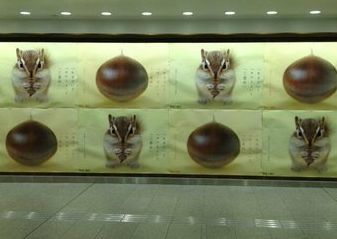 阪急梅田　栗とリス２.jpg
