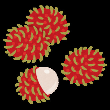 fruit_rambutan.png