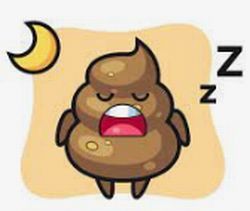 ねうんち.jpg