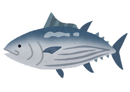 fish_katsuo2.jpg