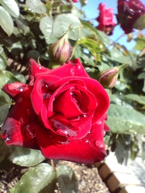 IMG20230514093755.jpg